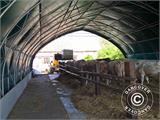Capannone tenda/tunnel agricolo 12x16x5,88m, PVC, Verde
